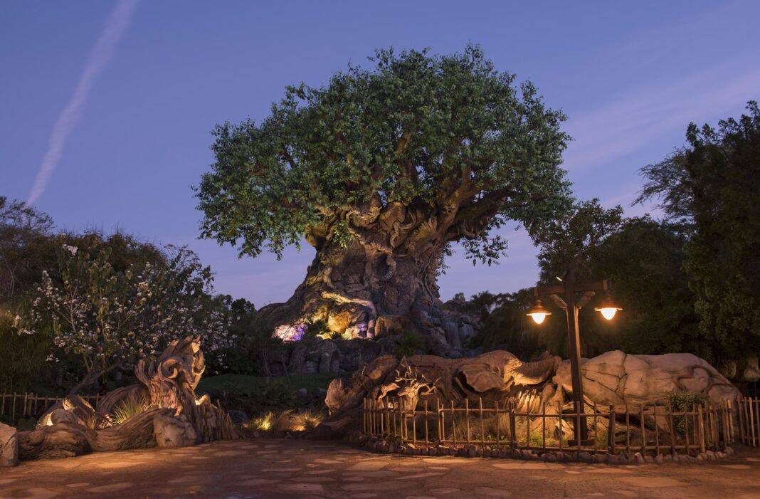 “By the Time You’re Back From Fireworks, Your Shot Will Be Waiting”: Publix and Disney Team Up on Hotel-Room GLP-1 Delivery “By the Time You’re Back From Fireworks, Your Shot Will Be Waiting”: Publix and Disney Team Up on Hotel-Room GLP-1 Delivery